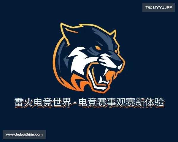 认识雷火电竞世界 - 电竞赛事观赛新体验